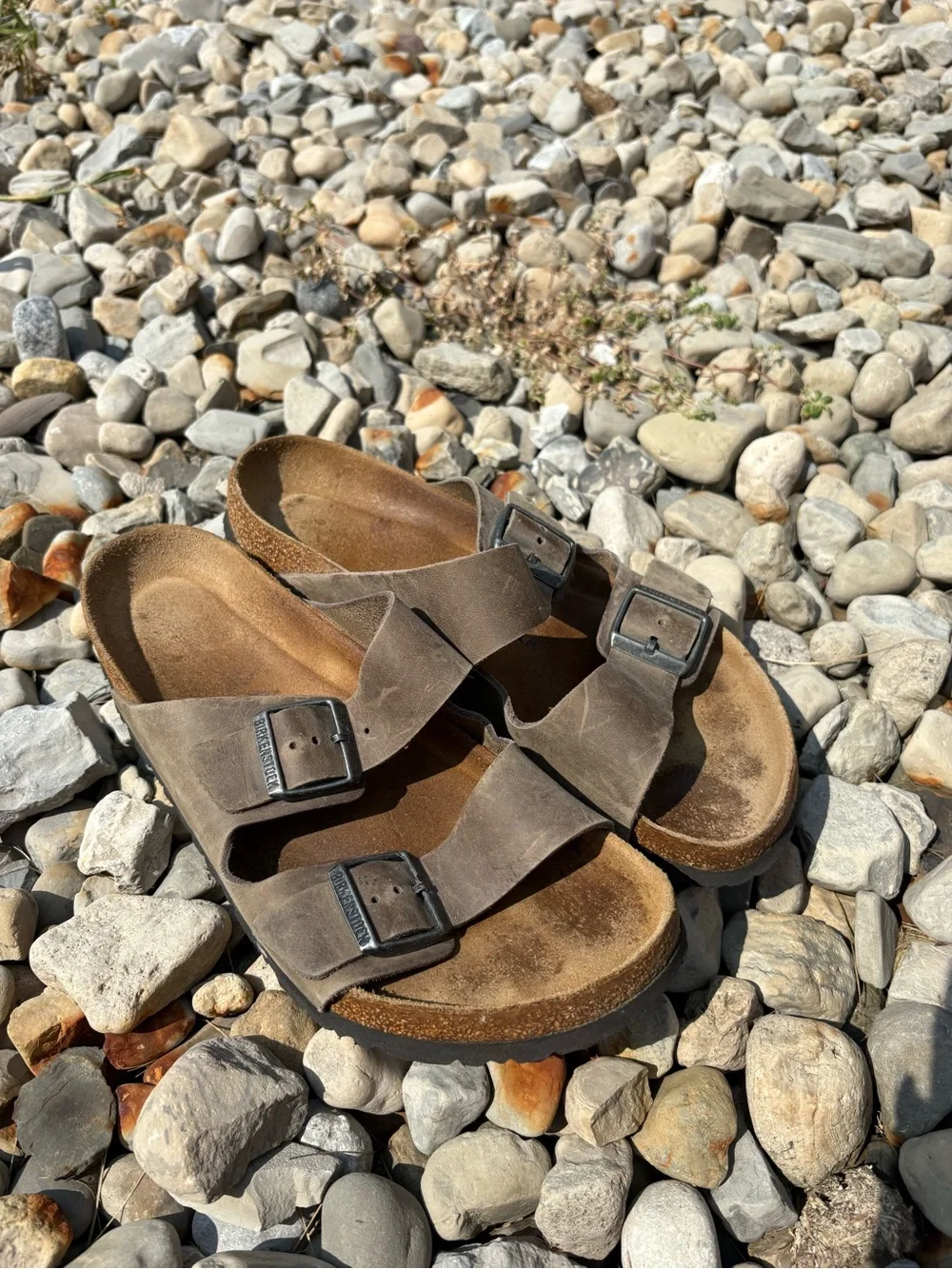Birkenstock Brown Suede Two-strap Arizona Sandals